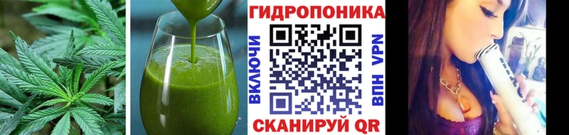 Canna-Cookies марихуана Яровое
