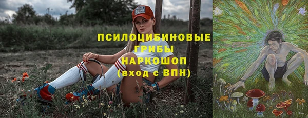 гидра Алзамай