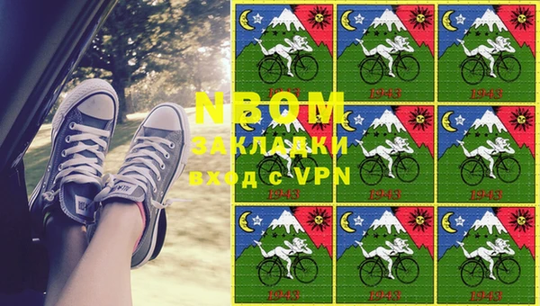 гидра Алзамай