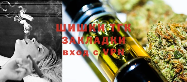 тгк Алексин