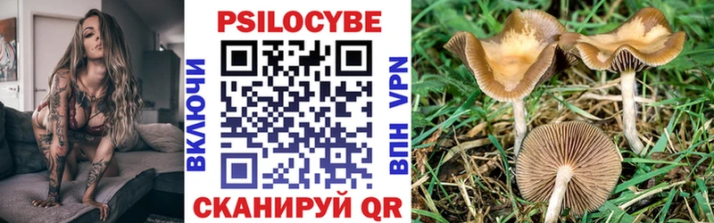 Псилоцибиновые грибы GOLDEN TEACHER Яровое